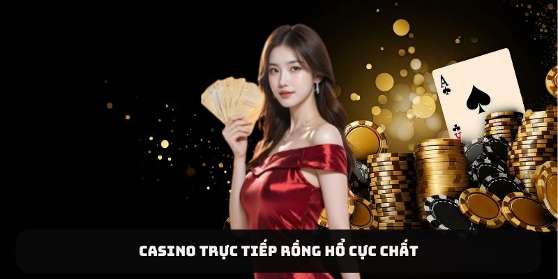 Casino trực tiếp Rồng Hổ cực chất