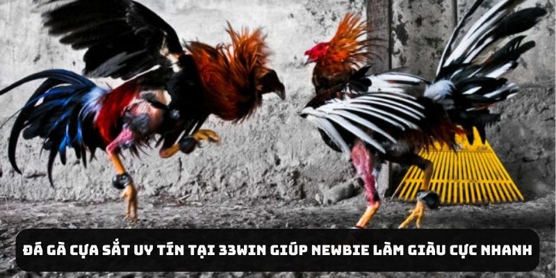 Đá Gà Cựa Sắt Uy Tín Tại 33WIN Giúp Newbie Làm Giàu Cực Nhanh