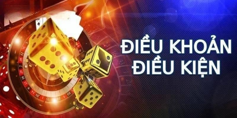 Điều cấm cần lưu ý trong chính sách điều khoản